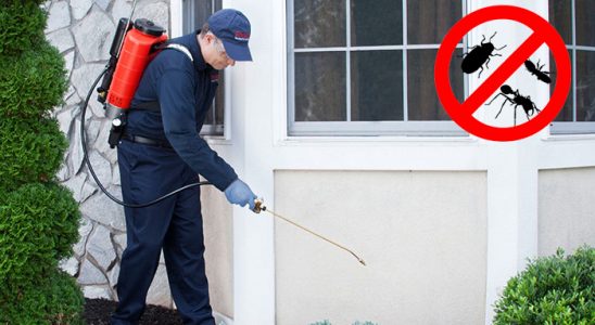 Haliliye Fare İlaçlama böcek ilaçlama ve haşere kontrolü — ilaclama-tr.com